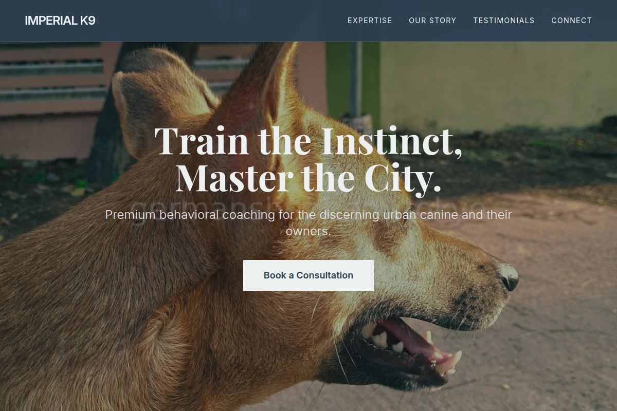Metro Dog Behavior