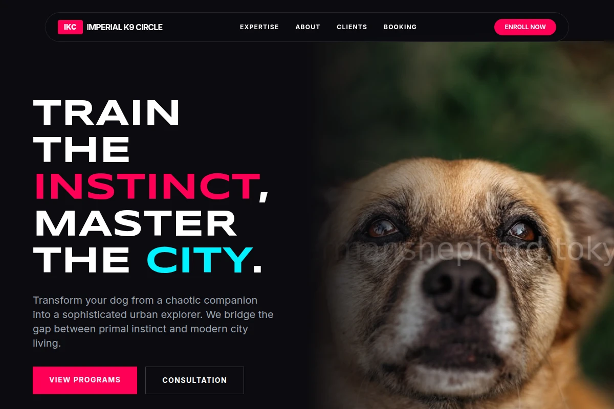 Kennel Dog Behavior