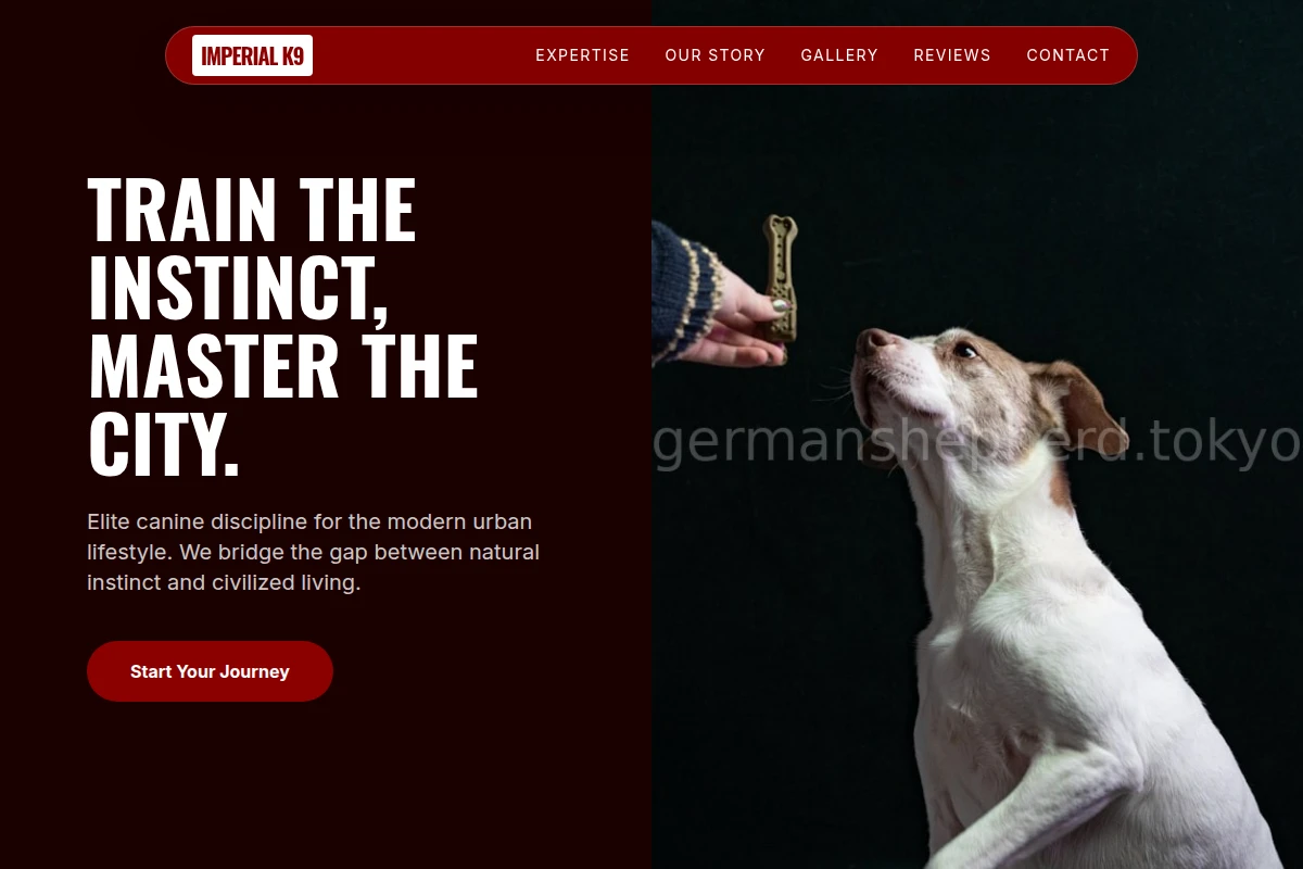 Posture Dog Training