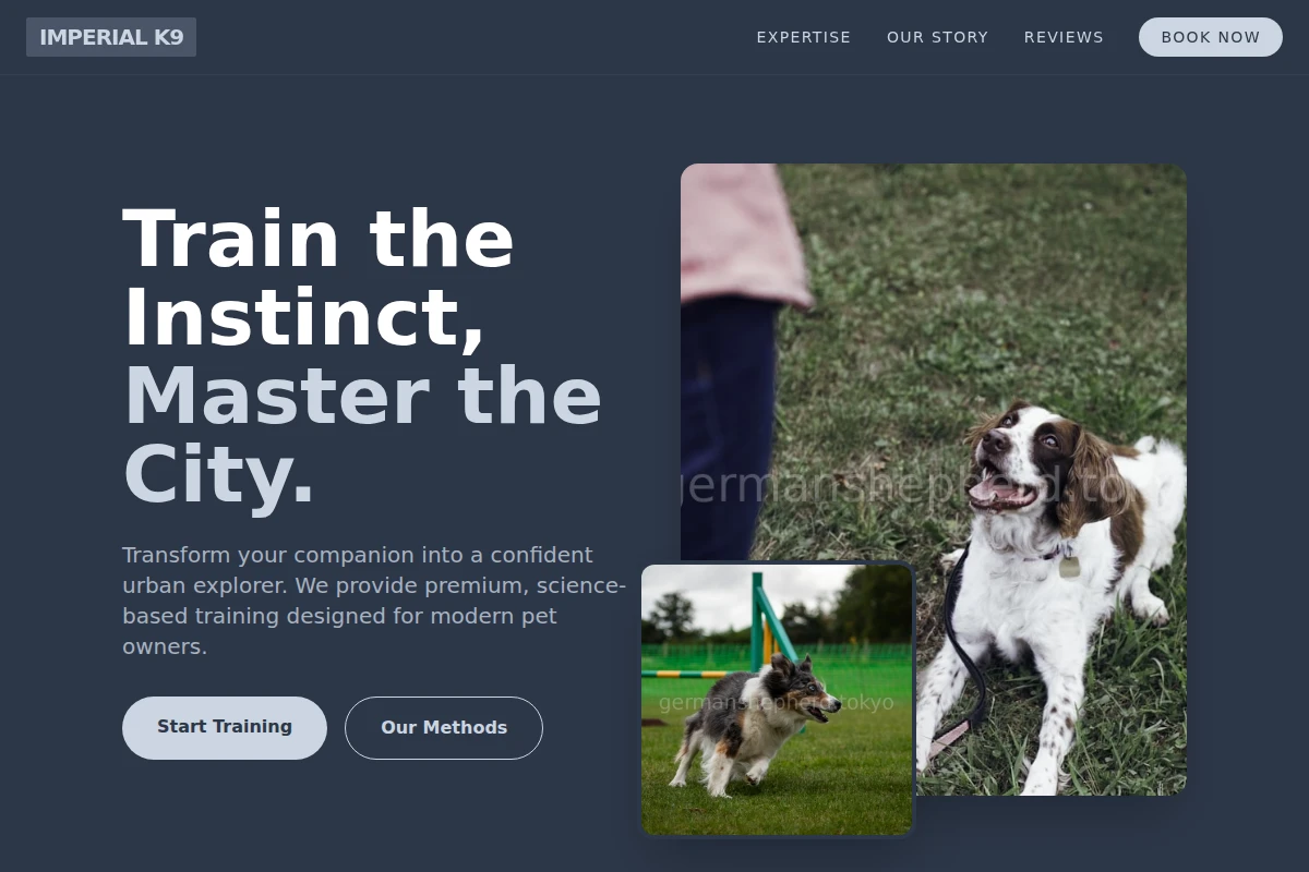Elite Dog Training