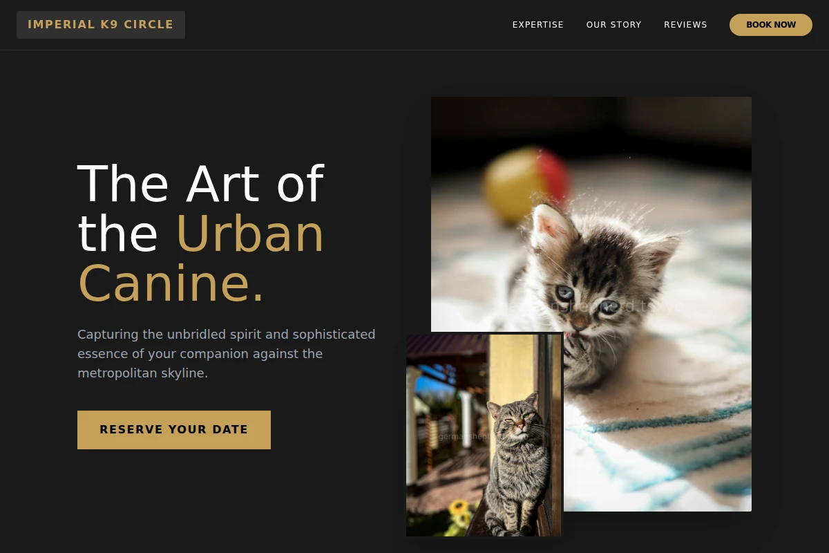 Metro Pet Photography