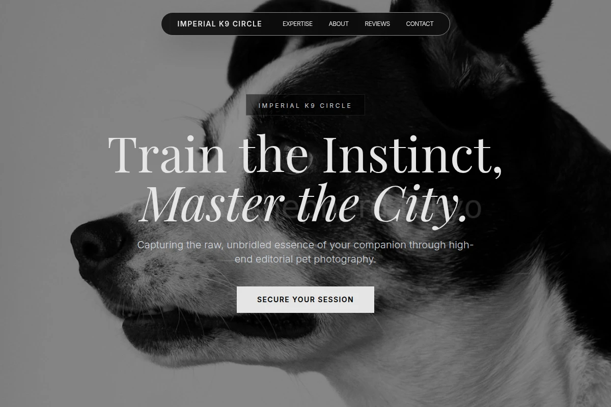 Kinesis Pet Photography