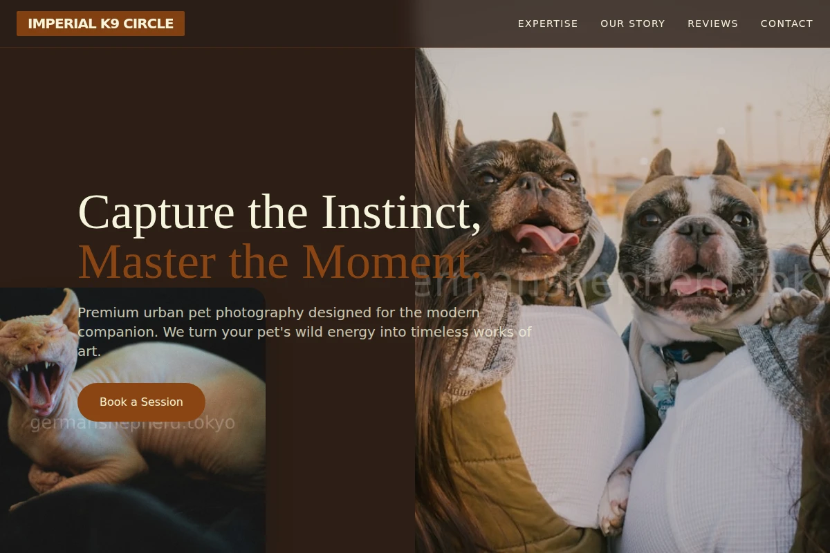 UrbanK9 Pet Photography
